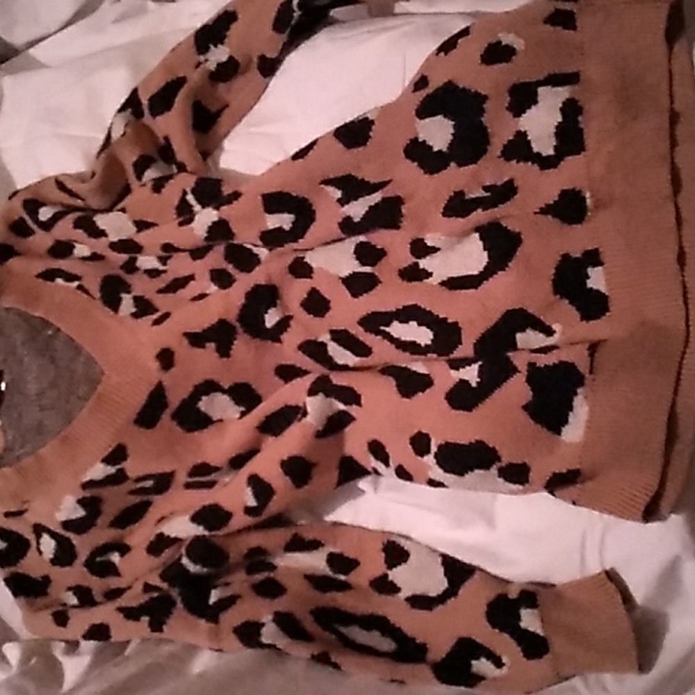 Entro leopard print v neck sweater
